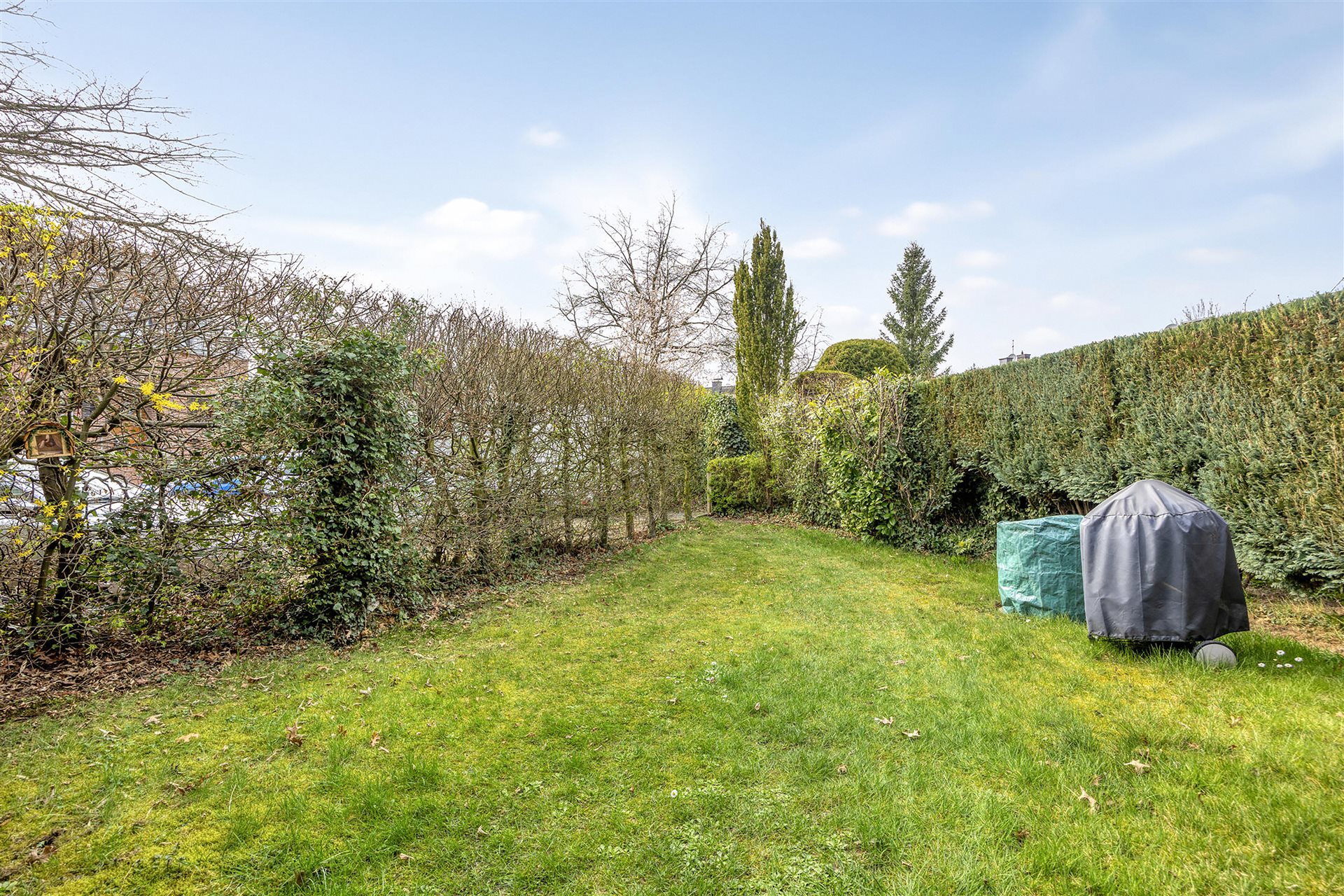 Mehrfamilienhaus Münster-Wolbeck – Gartenbereich mit Rasenfläche