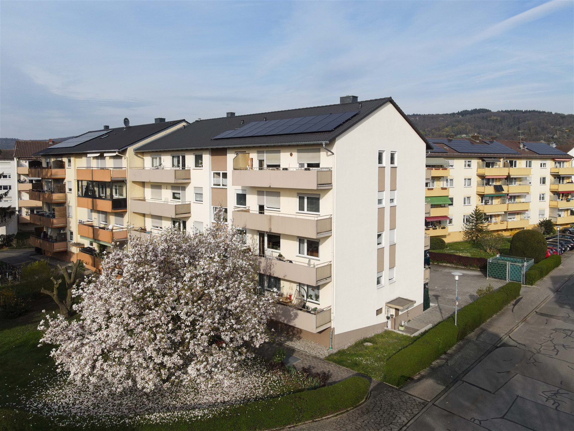 Mehrfamilienhaus Hemsbach – Drohnenaufnahme frontal mit Magnolienbaum