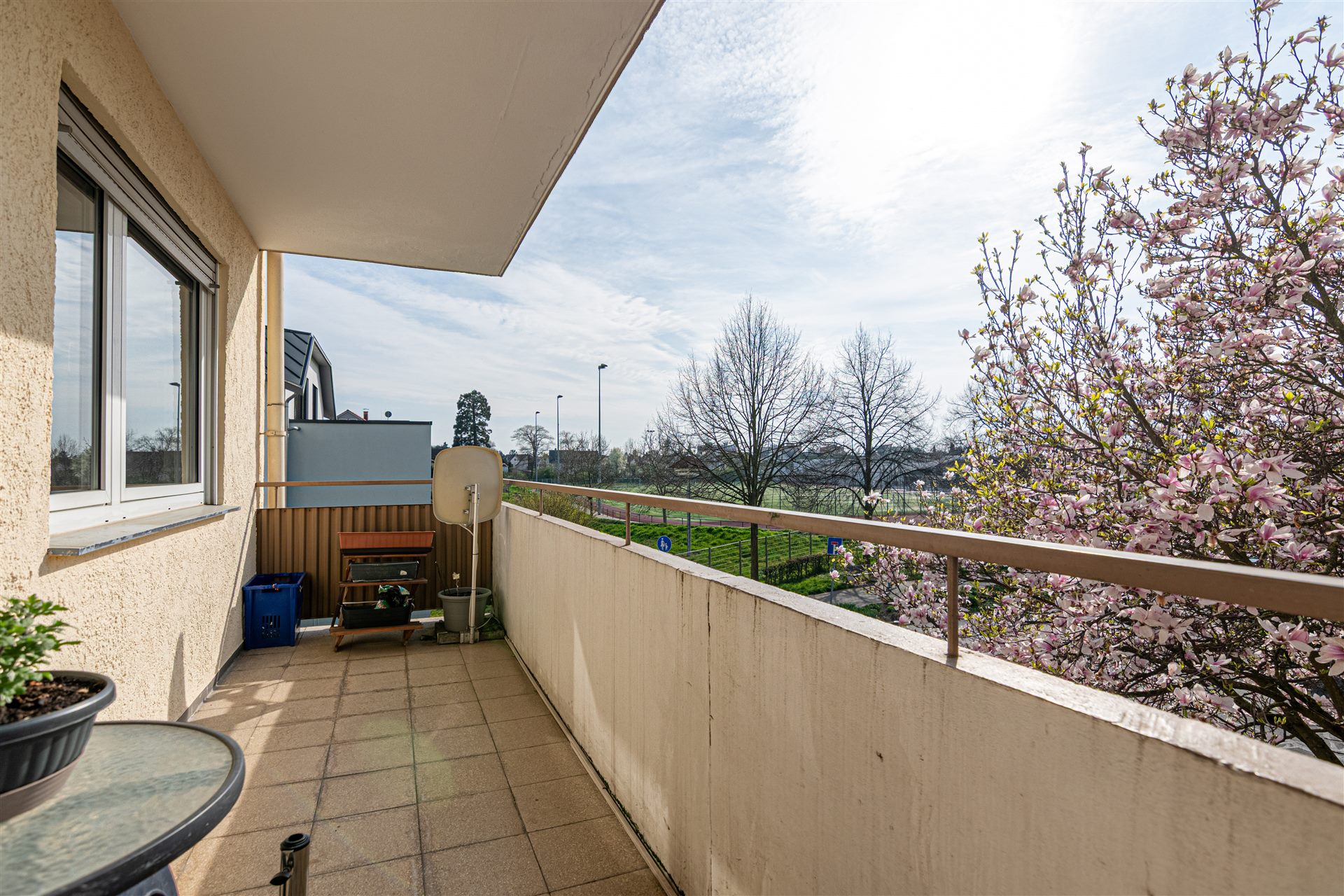 Balkon mit blühender Magnolie
